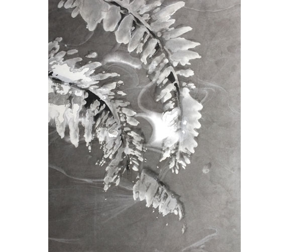 "Fern" by Hiroko Seki